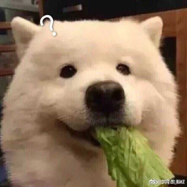 已重置-5883