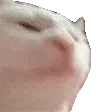 清欢