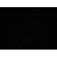 15055281425