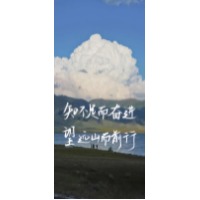狂奔的加菲猫