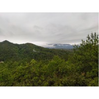 五里取闹市
