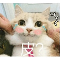 殇殇夜雨心